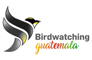 Birdwatching Guatemala Logo