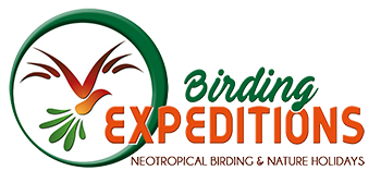 Birding Expeditions