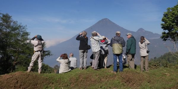 Group of Birders spotting birds infront of Santa Maria Volcano.